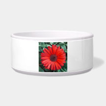 Fleur orange de marguerite florale moderne brillan