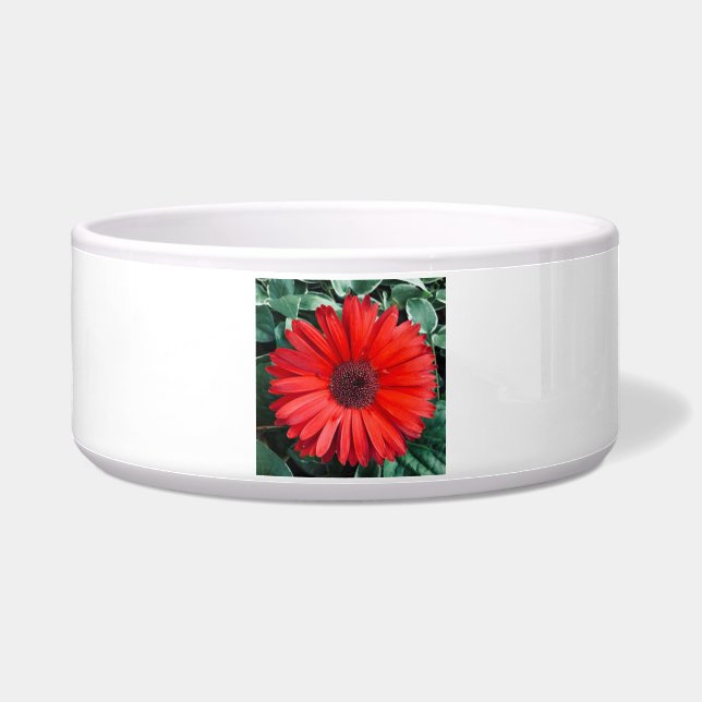 Écuelle Fleur orange de marguerite florale moderne brillan (Gauche)