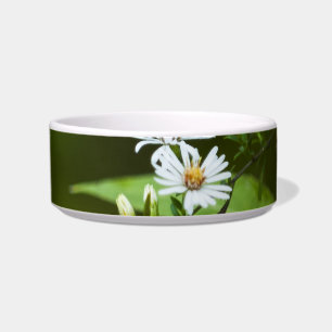Écuelle Fleur sauvage blanc