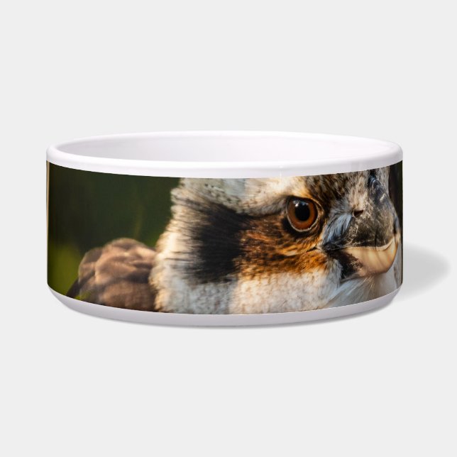 Écuelle Fluffed up riant kookaburra (Devant)