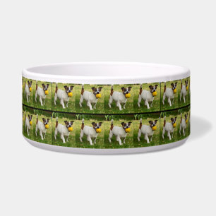 Écuelle Fox Terrier Avec Sa Boule Dans Un Motif, Grand Chi