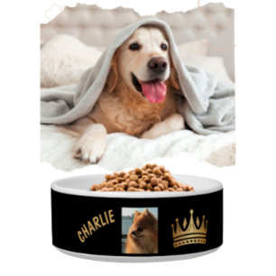 Écuelle Fun Black Gold Nom Couronne Chien