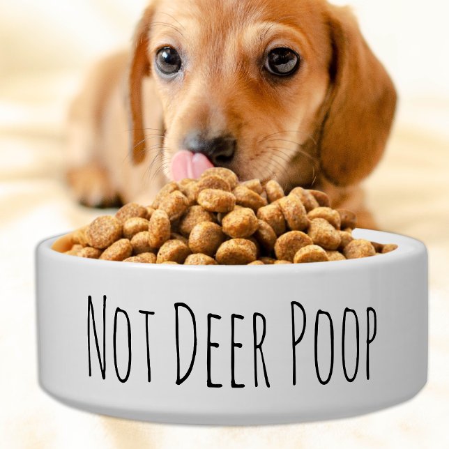 Écuelle Funny Chig Bowl - Animaux de compagnie Nourriture  (Créateur téléchargé)