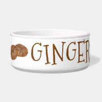 Gingembre de chien Gingersnap Nut biscuit biscuit