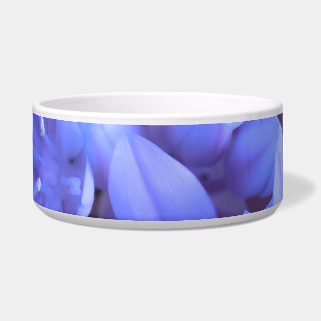 Écuelle Gloire du bol de chien bleu neigeux (Devant)