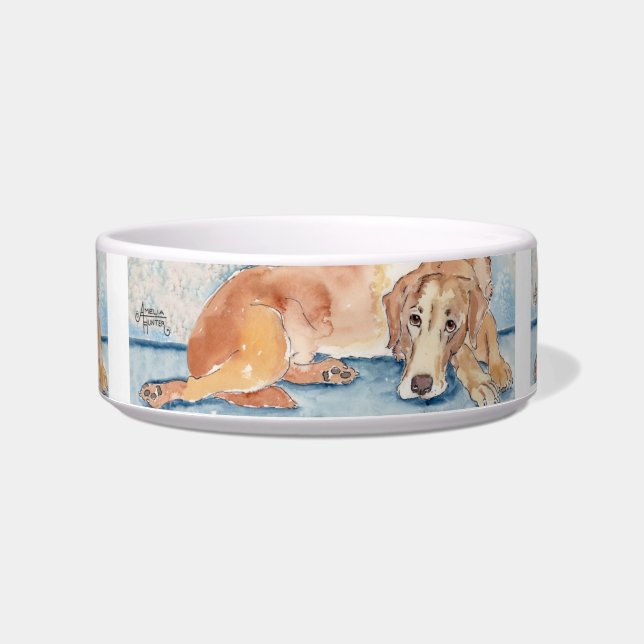 Écuelle Golden retriever (Devant)
