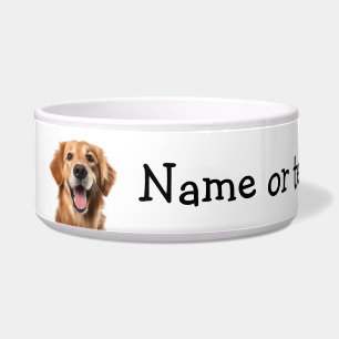 Écuelle Golden Retriever Chien Animal de compagnie