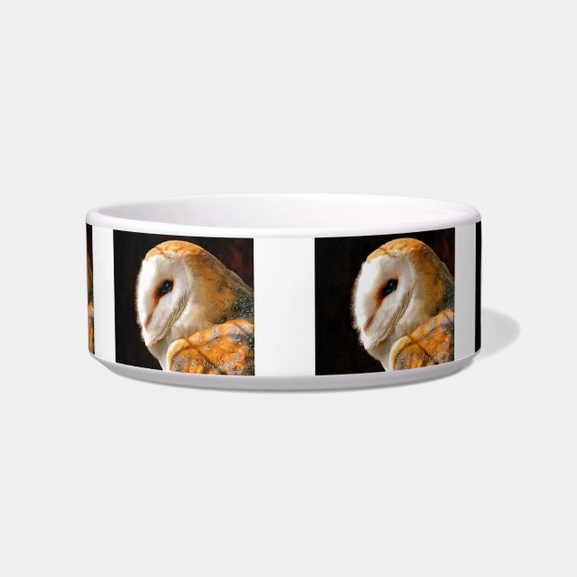 ÉCUELLE HIBOU (Devant)