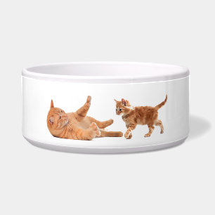 Écuelle Image pour animaux de compagnie pour gros poils
