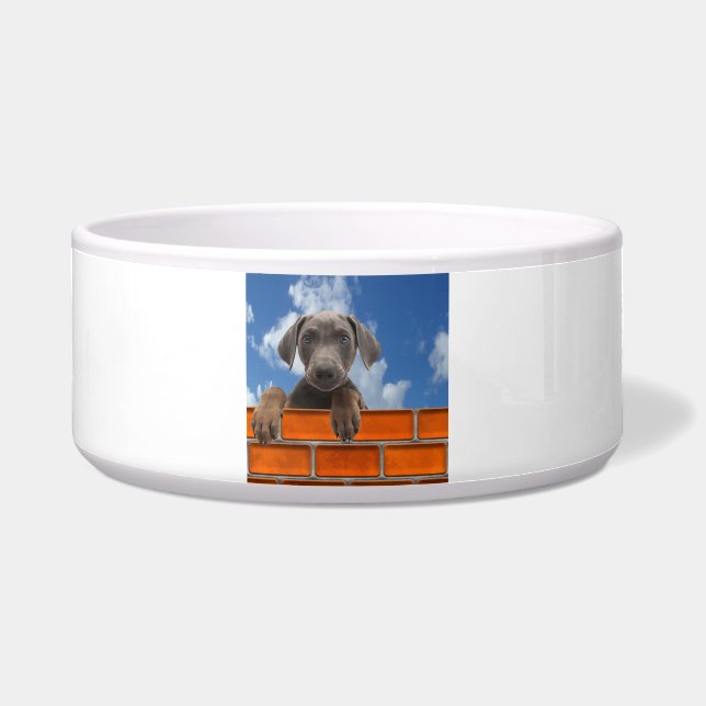 Écuelle Image pour animaux de compagnie pour gros poils (Devant)