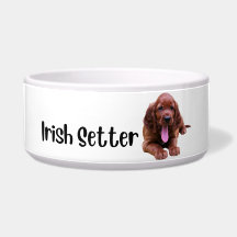 Irish Setter - bol de chien par race