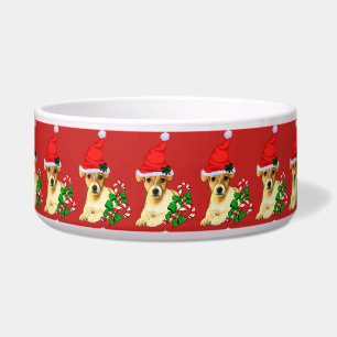 Écuelle Jack Russell Terrier Père Noël Noël
