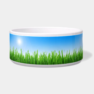 Écuelle Jardin à l'herbe verte avec conception de ciel ble