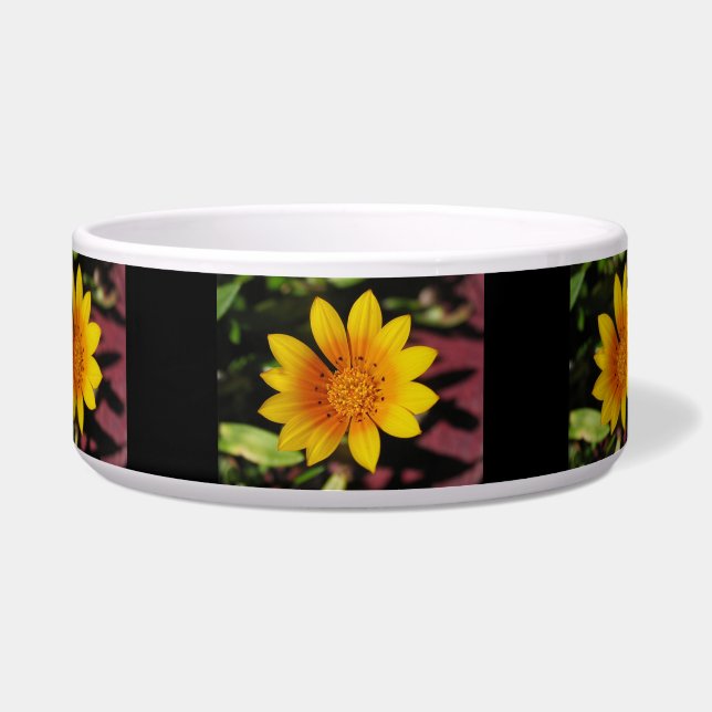 Écuelle Jaune Daisy Pet Bowl (Devant)
