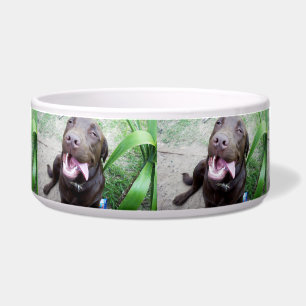 Écuelle Joies Idiotes : Chiot Labrador Brun au Chocolat,