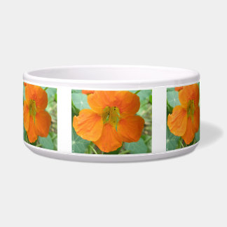 Écuelle Joli bol de chien de Nasturtium Orange