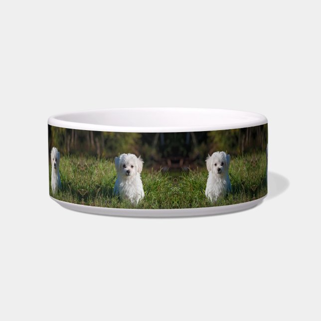 Écuelle Joli chiot blanc (Devant)