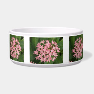 Écuelle Joli Pretty Rose Tropical Flowers Chig Bowl