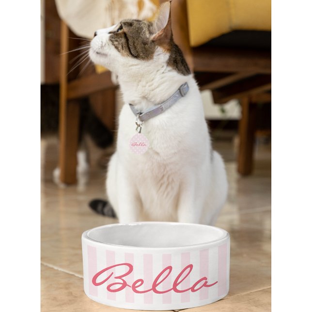 Écuelle Joli Retro Pink Stripes Chat Kitty Nom de l'animal (Cute Retro Pink Stripes Cat Kitty Pet Name Food Bowl)