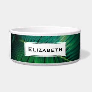 Écuelle La Feuille verte Forêt tropicale Nature Photo