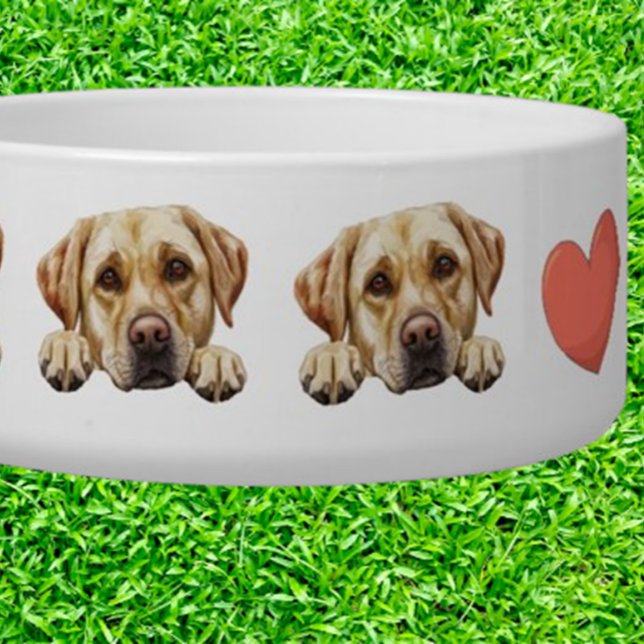 Écuelle Labrador Retriever doré qui regarde Customize thèm (Créateur téléchargé)