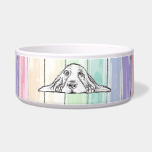 Écuelle l'amour conquiert tout chien arc-en-ciel basset ho