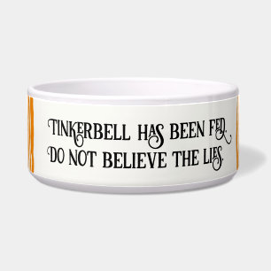 Écuelle Le Chat Tigre Orange Striped A Été Nourri