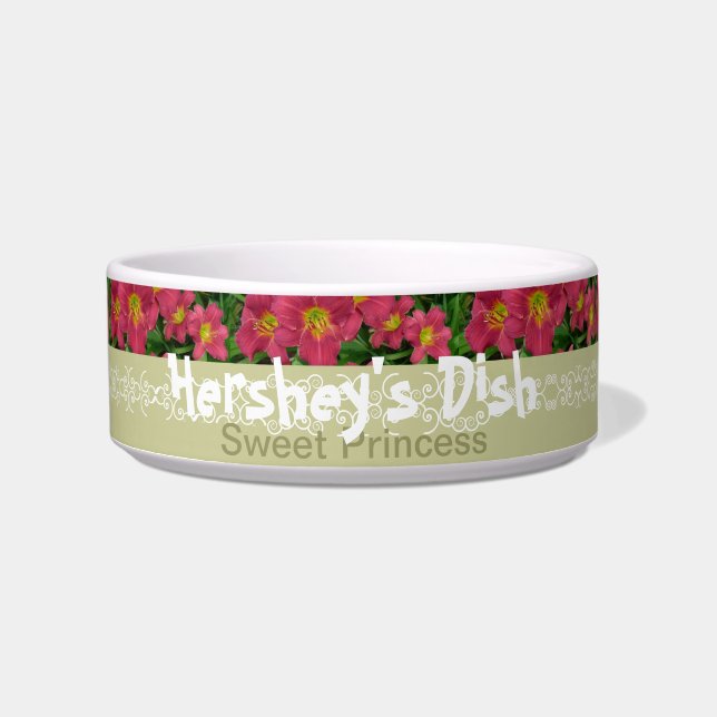 Écuelle Le nouveau jour fait du jardinage le Daylily P.M. (Devant)