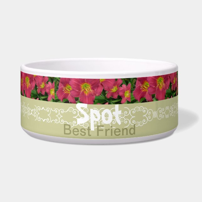 Écuelle Le nouveau jour fait du jardinage le Daylily P.M. (Devant)