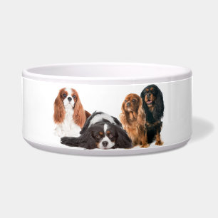 Écuelle Le Roi Charles Cavalier Spaniel
