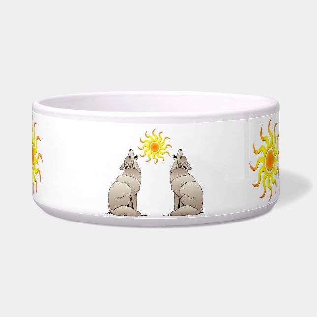 ÉCUELLE LES COYOOTS SE RETROUVENT AU-DELÀ D'UN SOLEIL DU S (Devant)