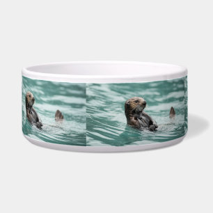 Écuelle Loutre de mer de observation