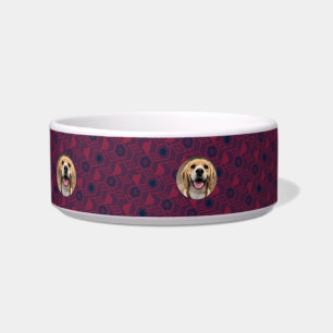 Écuelle Magnifique Chien Papa Animal de compagnie Accessoi