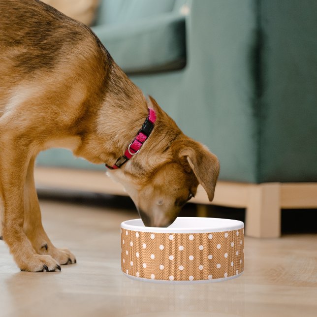 Écuelle Mangeoire pour animaux de compagnie Délice Pointil (Dotty Delight Orange Pet Bowl)