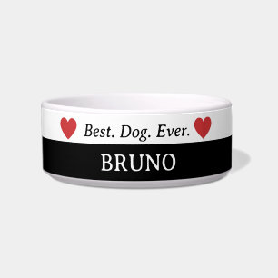 Écuelle Meilleur Chien Jamais Ceramic Chien Bowl