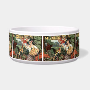 Écuelle Mexique vintage voyage boules pour animaux