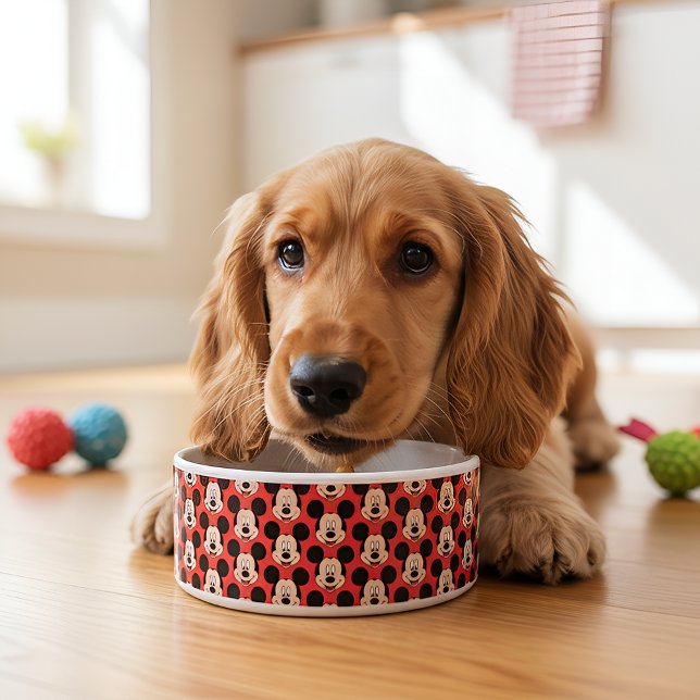 Écuelle Micky Bowl (Créateur téléchargé)