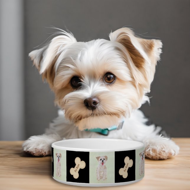Écuelle Morkie Chien Bowl Avec Os (Créateur téléchargé)