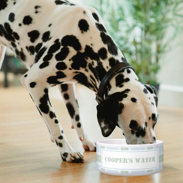 Écuelle Motif Carreaux Bleu Vert Classique Nom Chien Eau (Créateur téléchargé)