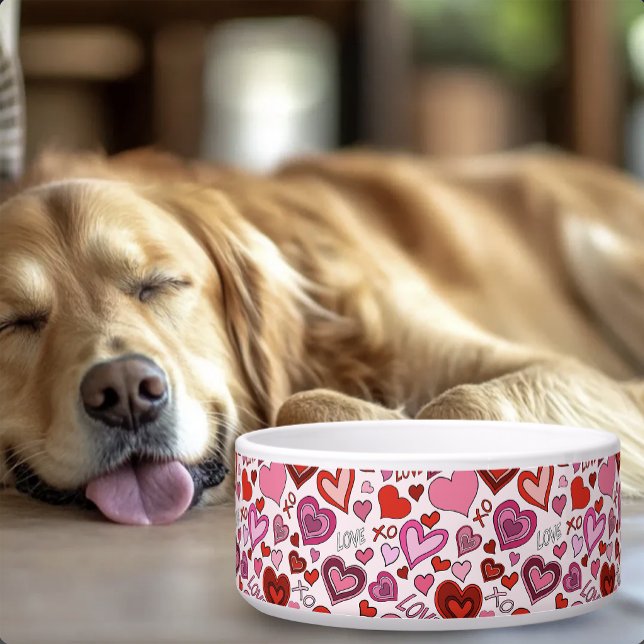 Écuelle Motif d'amour de cœurs roses rouges mignons Blush (Créateur téléchargé)
