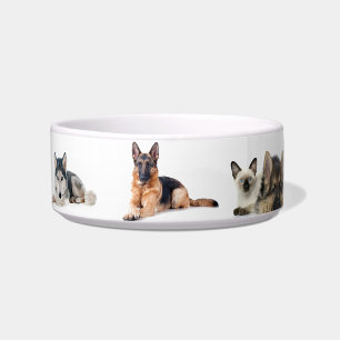 Écuelle Motif de chien