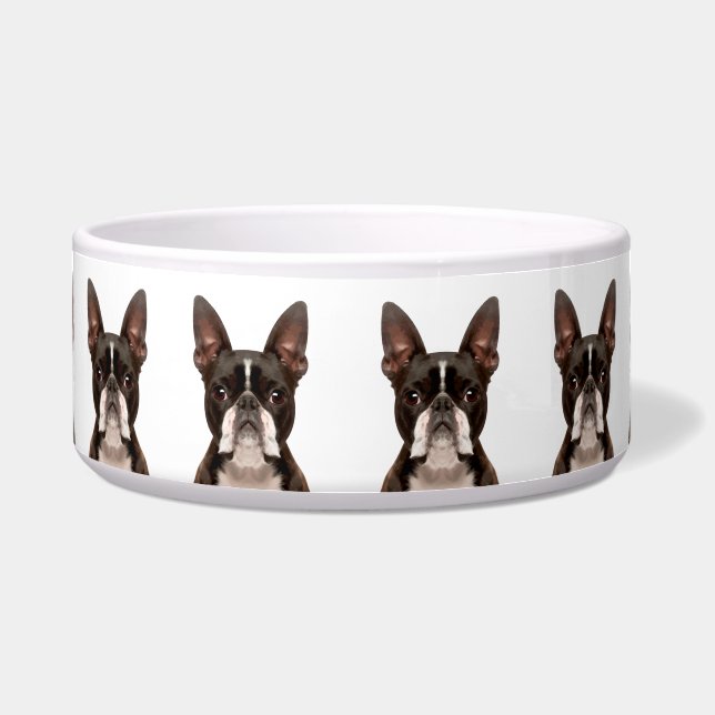 Écuelle Motif mignon de race de chien Boston Terrier (Devant)