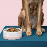 Écuelle Muet Rose bleu personnalisé Nom de l'animal de com<br><div class="desc">Ajoutez le nom de votre chat, de votre chien ou de votre animal de compagnie à ce simple bol alimentaire mignon, minimal et moderne avec une bande dorée rose rose pâle molle au fond. Vous pouvez modifier n'importe quelle couleur ou police en cliquant sur "customiser plus loin" pour créer votre...</div>