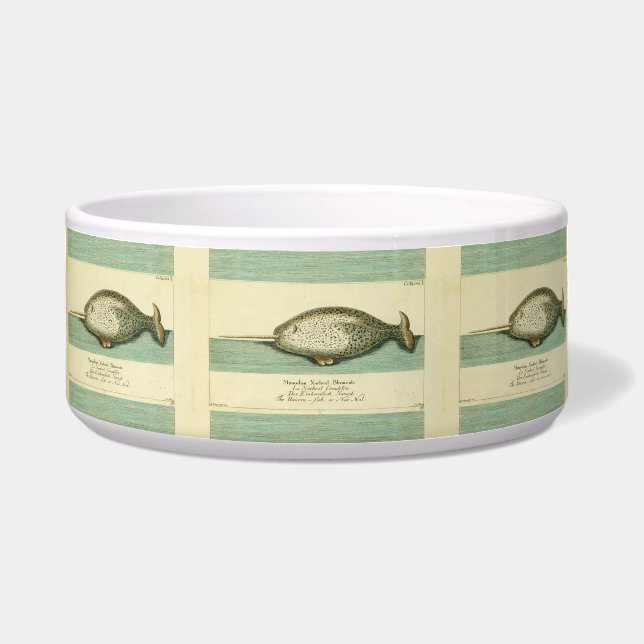 Écuelle Narwhal Antique Baleine Aquarelle Art scientifique (Devant)