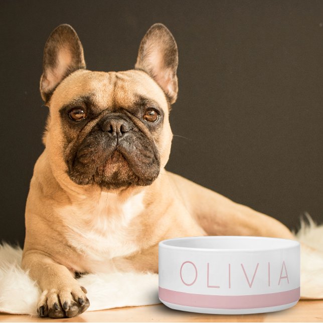 Écuelle Nom de chien personnalisé couleur rose pâle (Créateur téléchargé)
