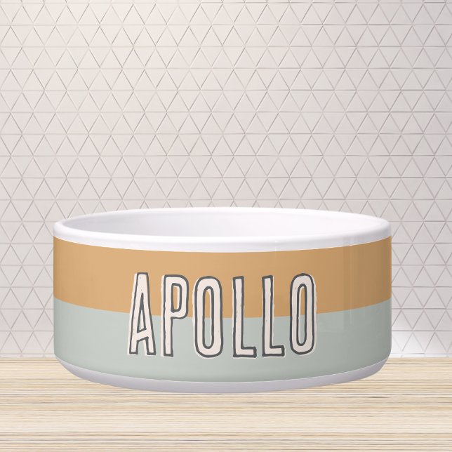 Écuelle Nom de l'animal de compagnie moderne personnalisé  (Customize this fun, modern dog bowl with your pet's name! )