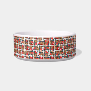 Écuelle Nom drôle de Dachshund à poils longs pour motif de