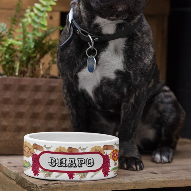 Écuelle Nouveau-Mexique Red Chile Pinõn Zia Hot Air Balloo (Créateur téléchargé)