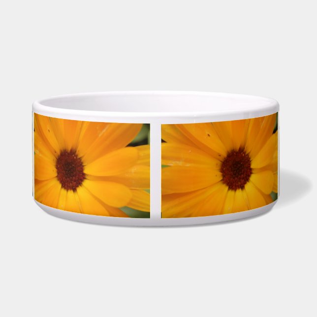 Écuelle Orange Rain Daisy Chien Bowl (Dos)