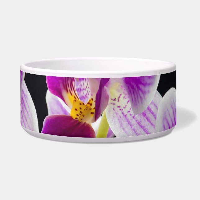 Écuelle Orchidée blanche et violette (Devant)